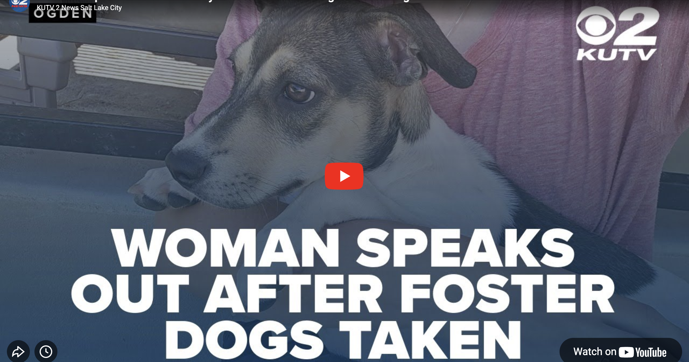 Woman responds to Weber County Animal Services taking her foster dogs
